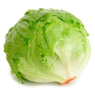 Lettuce from 말레이시아 supplied by Publika Vege Distribution - Green 신선 상추