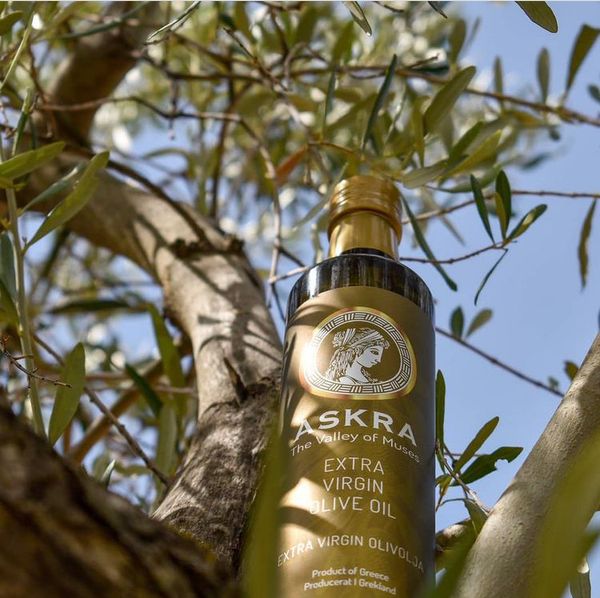 Askra the Valley of Muses from Greece supplied by lymperis estate ike - Acidity Rate 0.2% Olive Oil