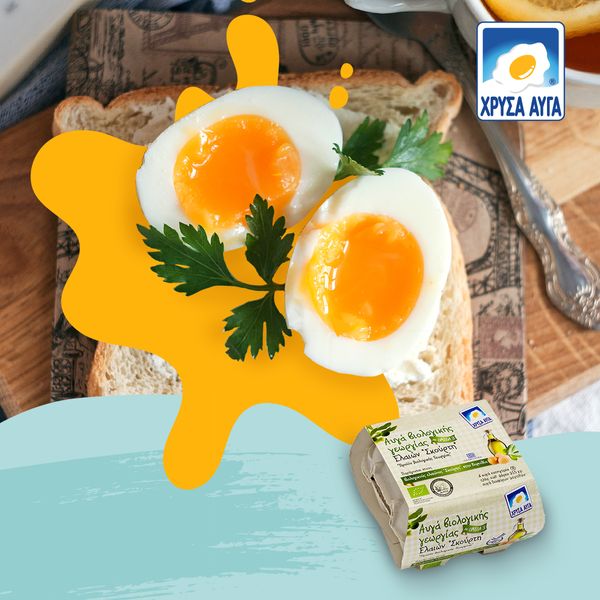 Fresh Chicken Egg from 그리스 supplied by Golden Eggs S.A. - Fresh 달걀