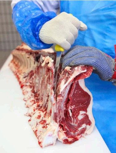 Beef meat from 오스트리아 supplied by GeRu HandelsgmbH - Red 신선 미절단 소고기