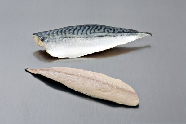 Mackerel from Spain supplied by ICELAND SEAFOOD SL - With Skin (=Skin On) Frozen Mackerel