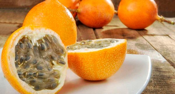 Granadilla from 콜롬비아 supplied by Alnattural sas - Unspecified 스위트 그라나딜라
