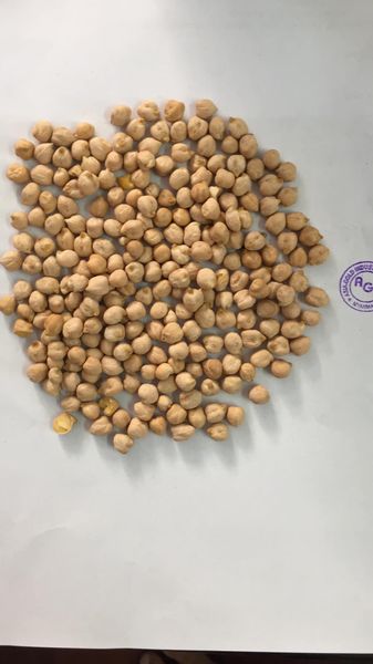 Chickpea from United Arab Emirates supplied by Sabbar Foodstuff Trading.Est - Brown Dried Chickpea