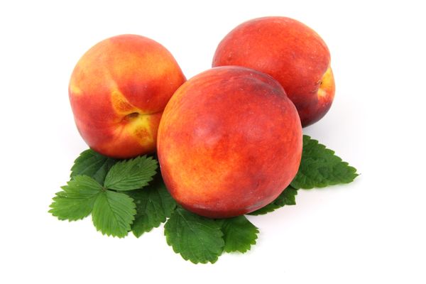 Fresh Peach from Spain supplied by Frutas Nene - Spring Belle Fresh Peach