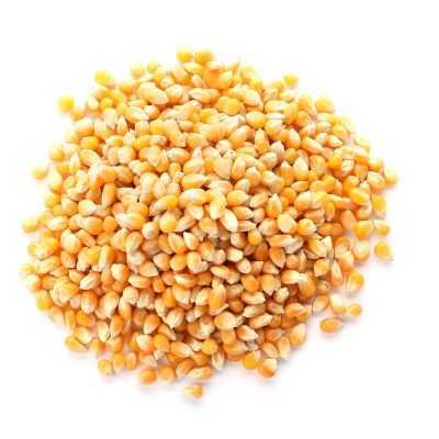 Corn from 캐나다 supplied by FARINART INC. - Dried 옥수수