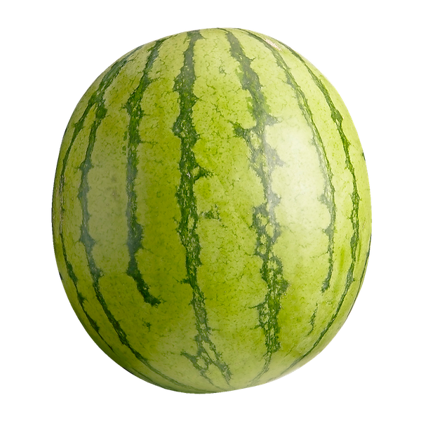 Fresh Whole Watermelon from 네덜란드 supplied by KRAAIJEVELD GROENTE EN FRUIT - Whole 신선 수박