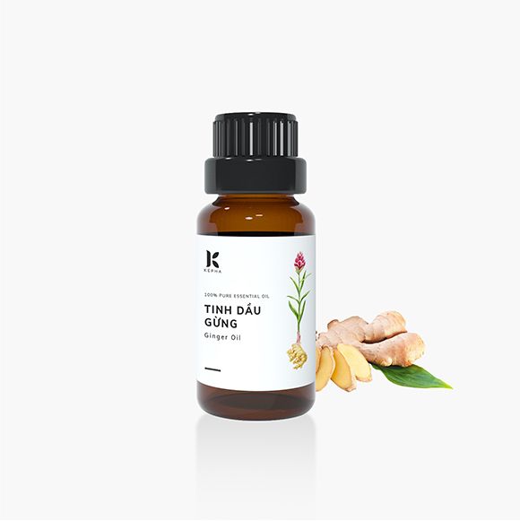 Ginger Essential Oil from 인도 supplied by Kephas Joint Stock Company - RBD (=Refined, Bleached, and Deodorized) 진저 오일
