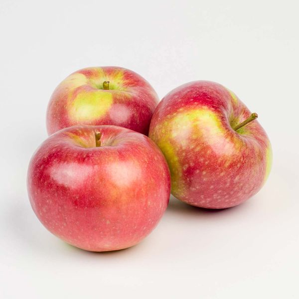 Apple from 뉴질랜드 supplied by Thunder Mountain Orchard & Nursery - Cooking Apple 신선 사과