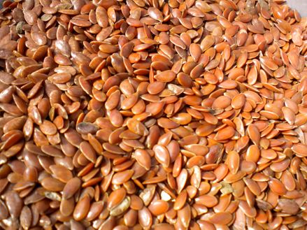 Whole Flax Seed from 카자흐스탄 supplied by Sercan Investment Group - Whole 아마 씨