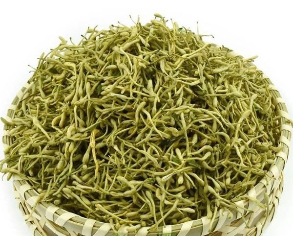 HONEYSUCKLE from 베트남 supplied by THAI PHONG AGRICULTURAL PRODUCT FOOD COMPANY LIMITED - Green 허니서클
