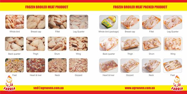 Chicken products from 우크라이나 supplied by AGRO-OVEN CORPORATION - Feet (=Paw=Claw) 냉동 미절단 닭고기