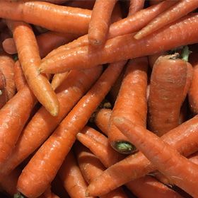 fresh carrot from 캐나다 supplied by Delfland Inc - White 신선 당근