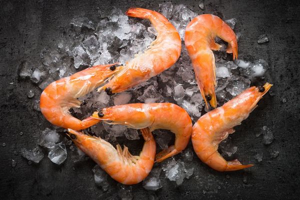 Prawns from 영국 supplied by Reach Food Service Ltd - Shell On (=Unpeeled) 냉동 새우