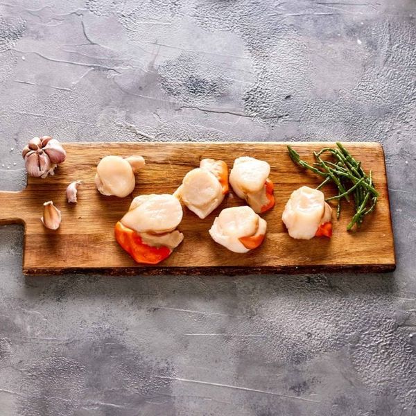 Scallop from 영국 supplied by Grimsby Fish Limited - Whole (=In Shell=Unshucked) 냉동 가리비