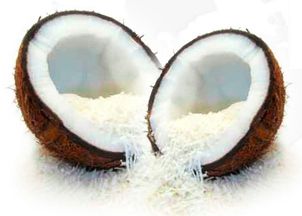 Desiccated Coconut from Malaysia supplied by MKJ (MALAYSIA) SDN BHD - White Other Fresh Coconut