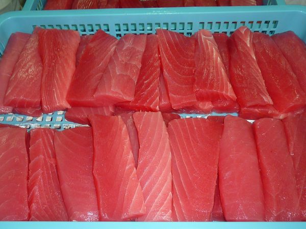 Tuna from 인도네시아 supplied by PT. Perintis Jaya Internasional - Vacuum Packed (=VAC) 참치