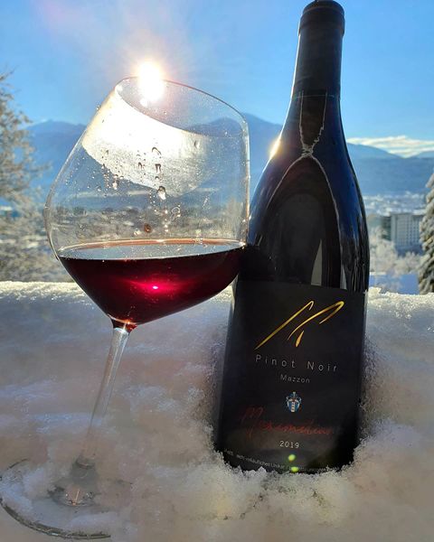 Pinot Noir from Italy supplied by Weingut Sebastian Praxmarer - Red Wine