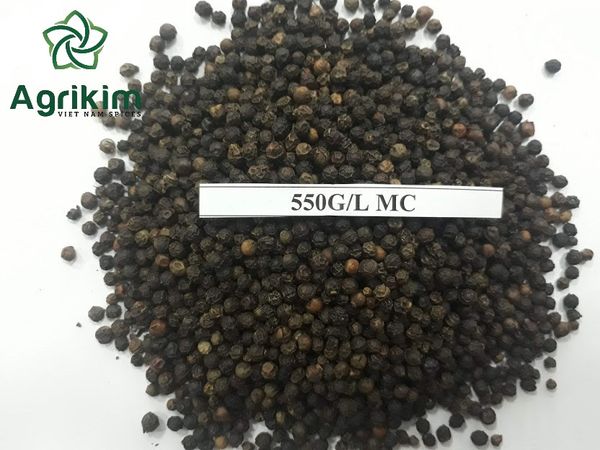 Viet Nam black pepper 550GL from Vietnam supplied by Agrikim Import and Export J.S.C - Mixed Spices Products