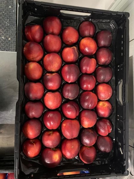 Nectarine from Bulgaria supplied by Fruktalina - Red Gold Fresh Nectarine