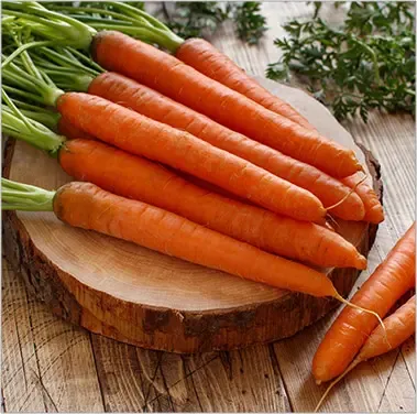 Carrot from 벨기에 supplied by ESCARGOTS PETITS-GRIS DE NAMUR - Orange 신선 당근