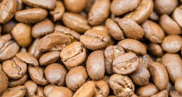 Light Roasted Coffee Bean from 태국 supplied by Blurite Co., Ltd. - Conventional 생원두