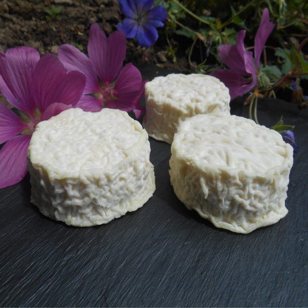 Goat Milk Cheese from 프랑스 supplied by LA FERME DE BLANDINE - Whole 기타 치즈