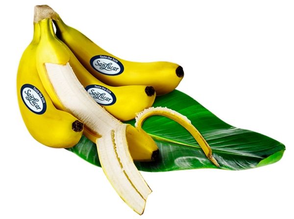 Banana from Germany supplied by SanLucar Germany GmbH - Golden Yellow Fresh Banana