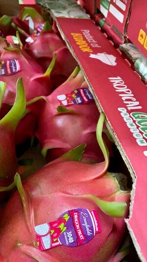 Dragon Fruit from 에콰도르 supplied by ECUAFIELDS C.L. - Red 신선 용과