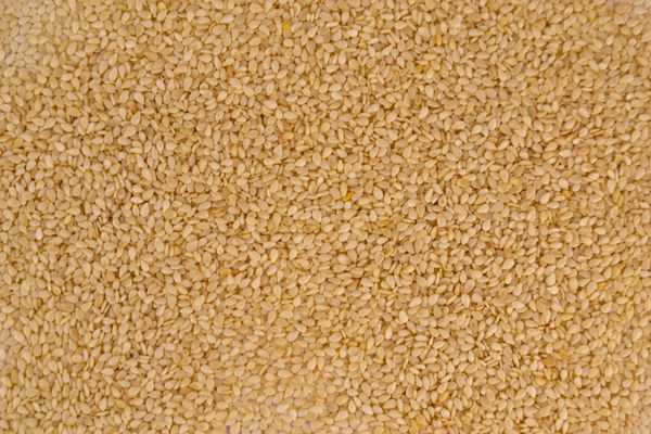Sesame from 수단 supplied by SCEPTO - إسكبتو للاستيراد والتصدير المحدودة - Purity 99.00% min 참깨