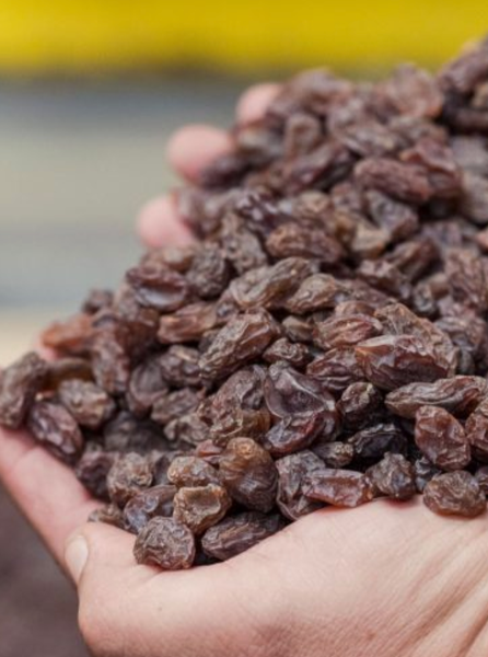 Raisin from 칠레 supplied by Pacific Nut Company Chile S.A. - Conventional 건포도