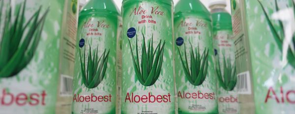 Aloe Vera Drink from Indonesia supplied by PT. Aloe Vera Indonesia - Medium Aloe Juice