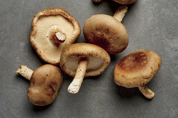 fresh shiitake mushroom from Poland supplied by Przedsiębiorstwo Prywatne Biegpol - Whole Shiitake Mushroom