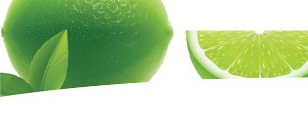 Limes from 남아프리카공화국 supplied by Joburg Market (Pty) Ltd - Whole 신선 라임