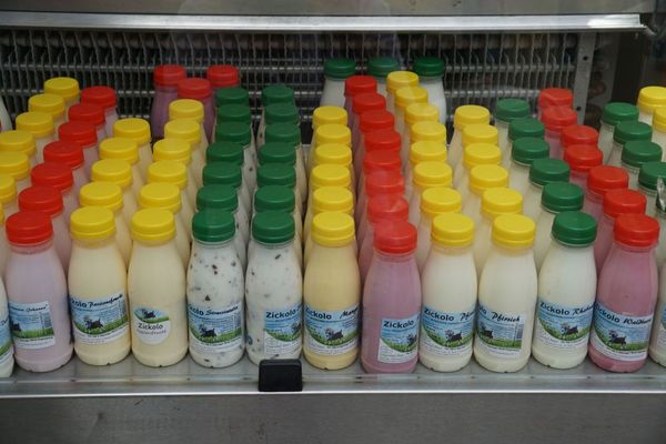 Goat Milk from 독일 supplied by Goat Farm Peter - Liquid 산앙유