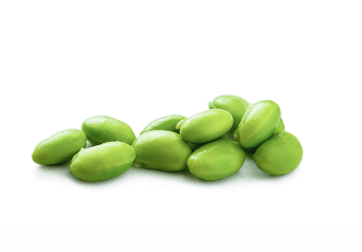 Soy Bean from 태국 supplied by Lanna Agro - Frozen 대두