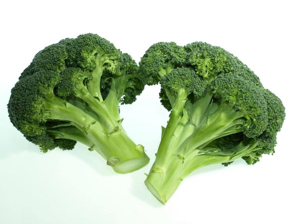 BROCCOLI from Italy supplied by O.p. Natura Dauna - Fresh (=Chilled) Fresh Headed Broccoli