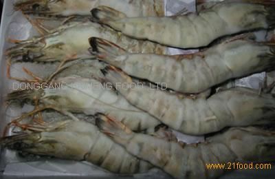 Frozen Shrimp from 중국 supplied by Haimeng Food Ltd - Spottail Mantis Shrimp (=Squilla mantis) 냉동 새우