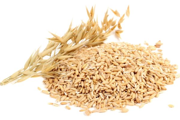 Oats from 그리스 supplied by Agrostar - Whole 귀리
