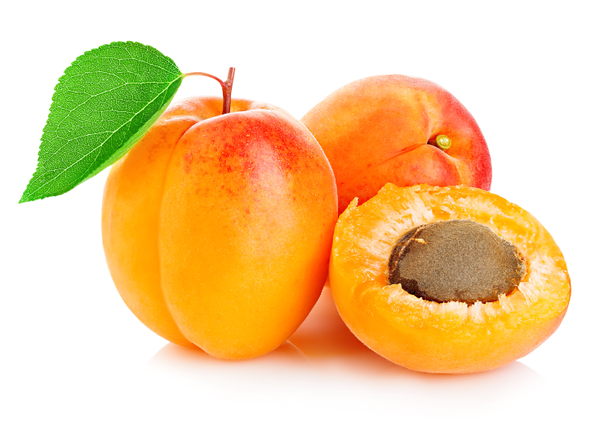 Fresh Apricot from Spain supplied by Frutas La Carrichosa - Fresh (=Chilled) Fresh Plum