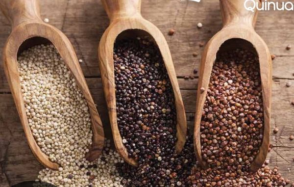 Quinoa from Peru supplied by Algarrobos Organicos Del Peru SAC - Groat Quinoa