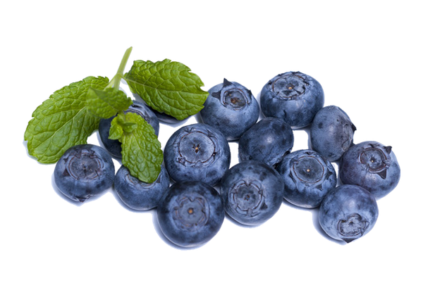 Blueberry from United States supplied by G & M Farms Inc. - Blue Fresh Blueberry