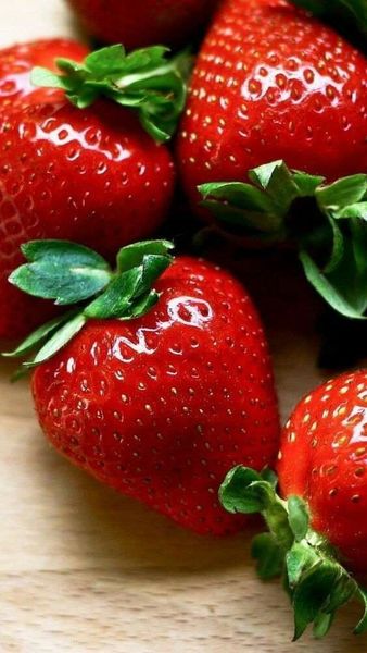 Strawberry Pulp/Puree from 이집트 supplied by Al Shams Agro group - High Quality 딸기 페이스트 및 퓨레