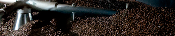 Coffee Bean from 브라질 supplied by Terra Forte Exportacao de Cafes - As per customer's request 생원두
