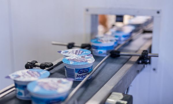 Yoghurt from 폴란드 supplied by Zakład Przetwórstwa Mleka Mlecz Sp. z o.o. - Plain 요구르트