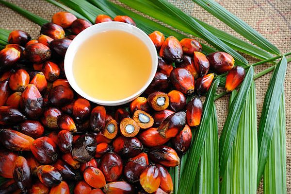 Palm Oil from Colombia supplied by Bioplanta Palmera  S.A. - Crude (=Unrefined) RBD Palm Oil