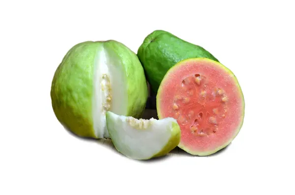 fresh guava from United States supplied by Ecoripe Tropicals, Inc. - Pink Fresh Guava