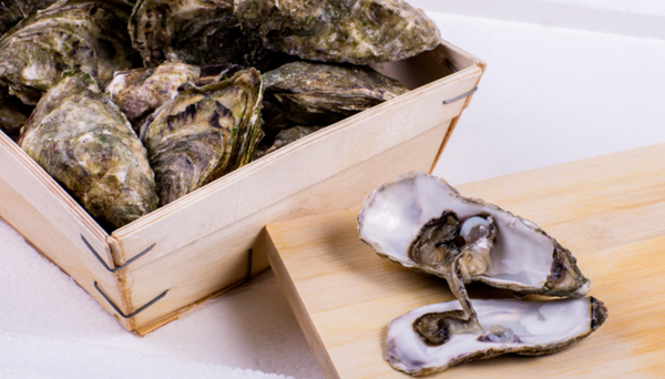 Live Oyster from 아랍 에미리트 연합국 supplied by The Deep Seafood Co. LLC. - Whole (=In Shell=Unshucked) 신선 굴