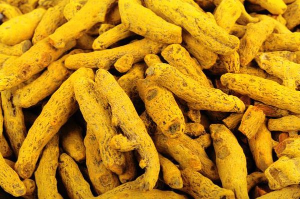 Turmeric from 에티오피아 supplied by Gagarii Trading PLC - >5 cm 튜메릭