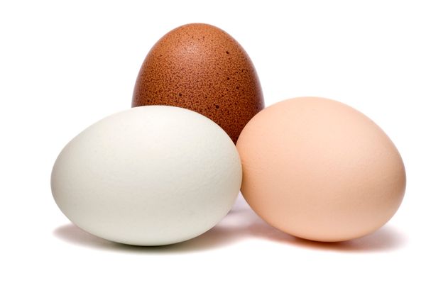 Organic Eggs from Germany supplied by Ziegenalm Kerstin Liebig - Fresh Chicken Egg