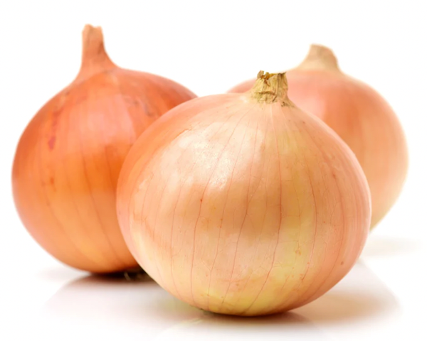 Onion from 영국 supplied by Nationwide Produce PLC - Whole 신선 양파